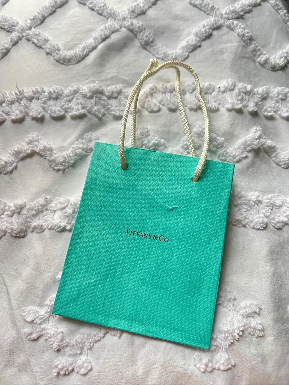 Tiffany & Co. Small Turquoise Mini Shopping Bag with Rope Handles